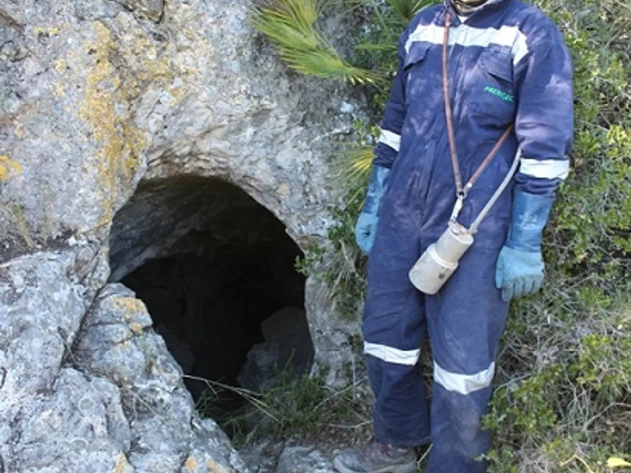 Fotografia de GUIA, COVA DE LA