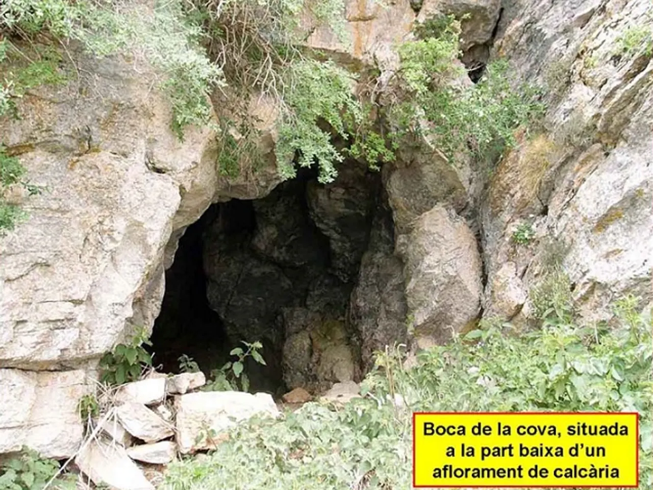 Photograph of VIDABONA, COVA D'EN