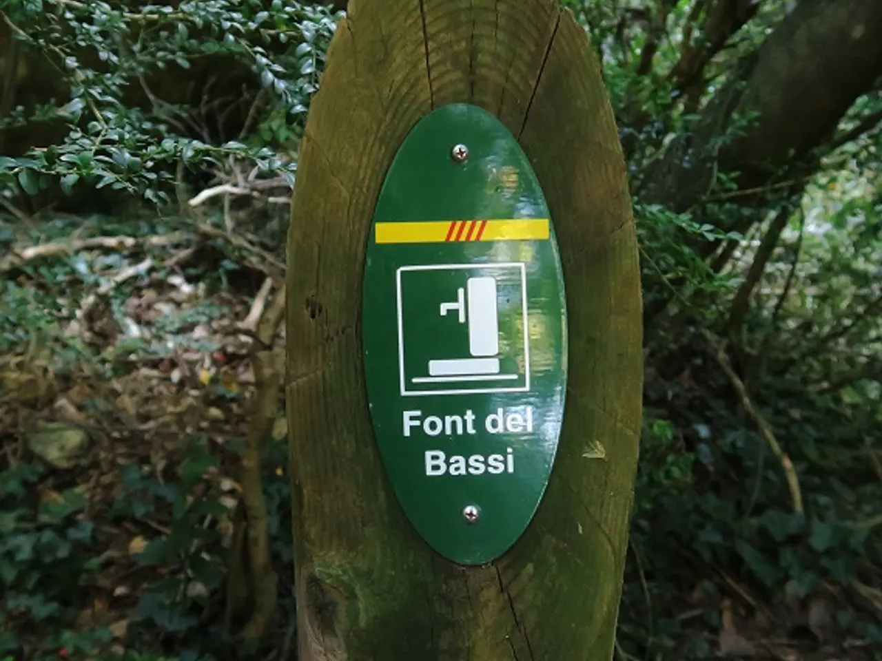 Fotografia de FONT DEL BASSI, BALMA DE LA