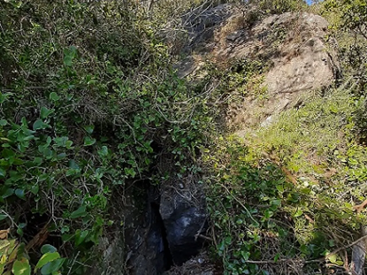 Fotografia de SERRA DEL MAS, COVA SM-16 DE LA