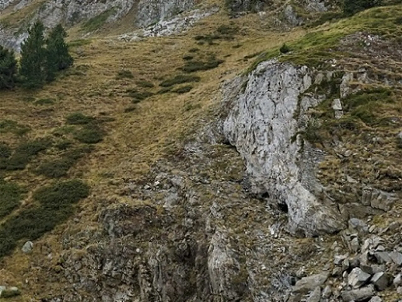 Fotografia de BARRANC DE MOREDO,  COVA Nº 1 DEL