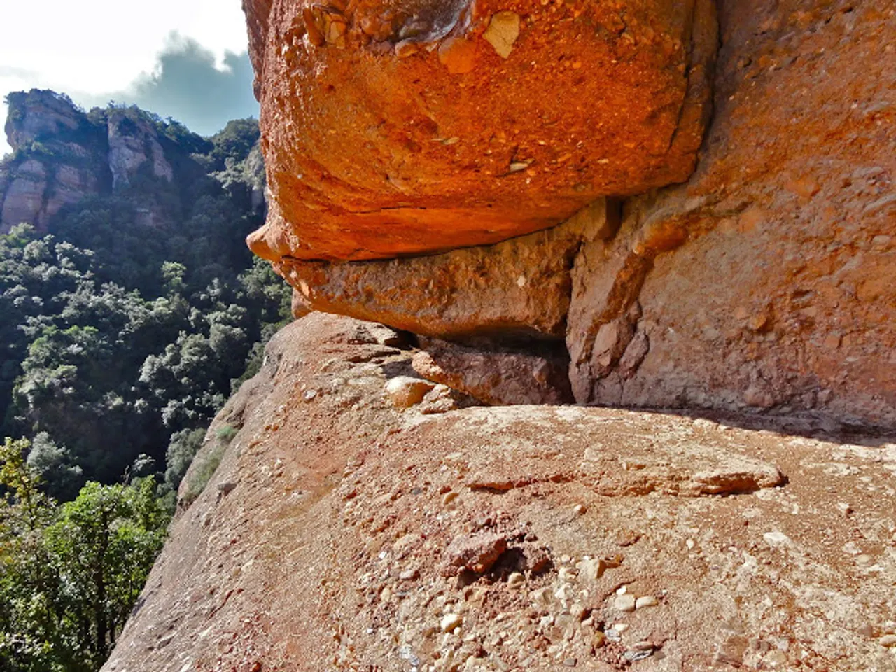 Fotografía de ROJA, COVA
