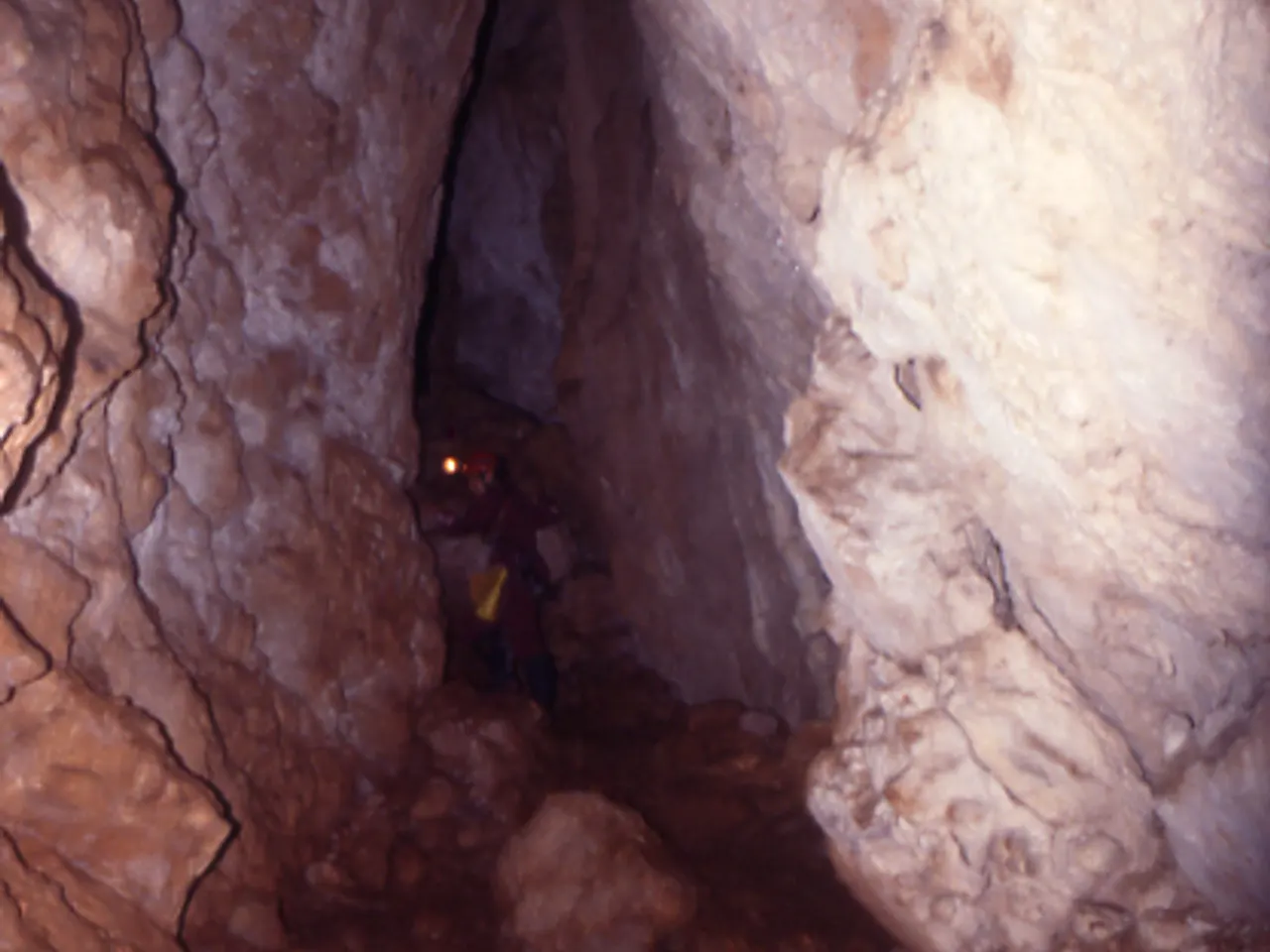 Fotografia de PAÚS,  QUERANT PETIT DE