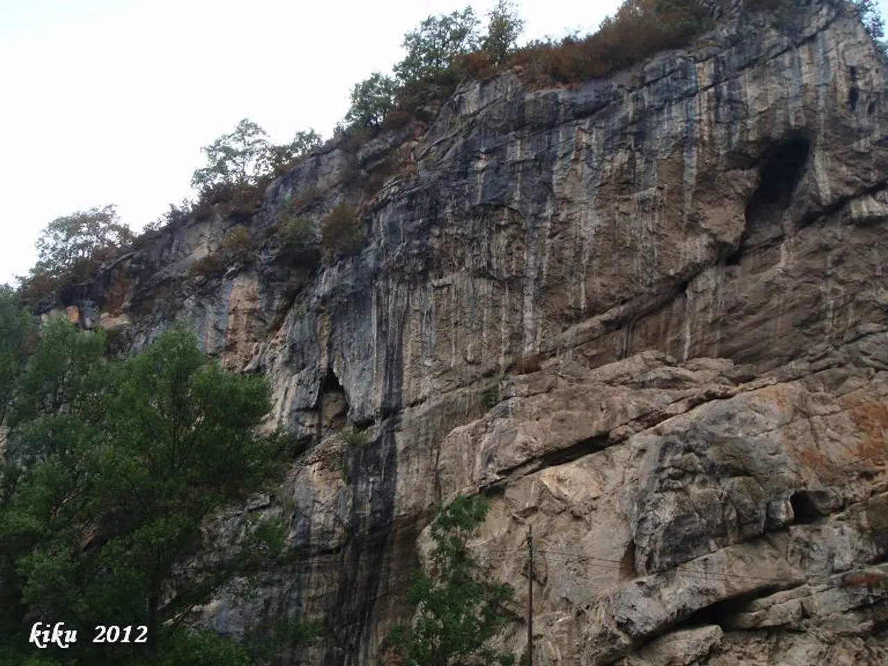 Photographie de RIBES, COVES DE