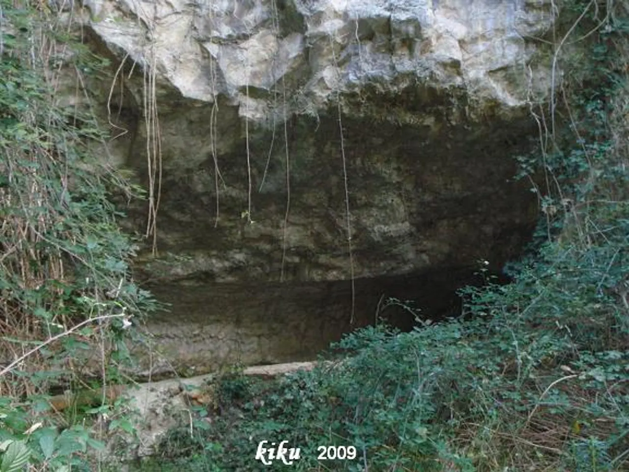 Fotografia de MOSQUERA, COVA DE LA