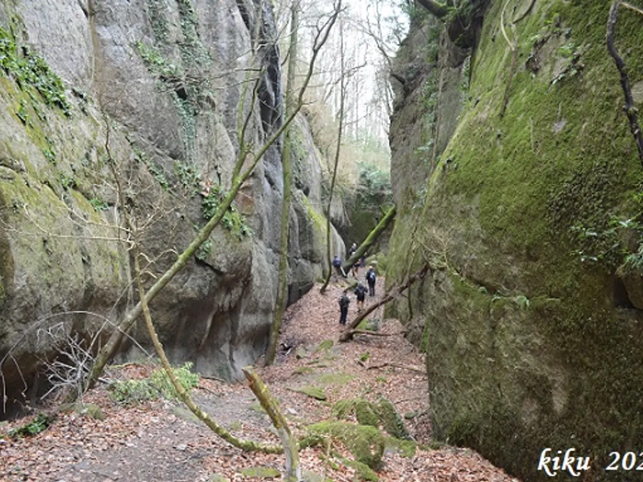 Fotografia de BARÓ, COVA DEL