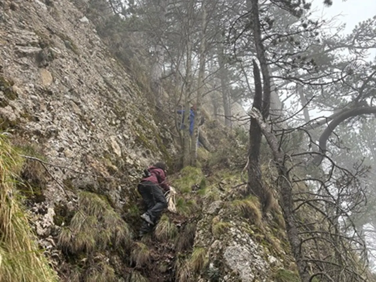 Fotografia de ROC DE LA CLUSA, FORAT SUPERIOR DEL