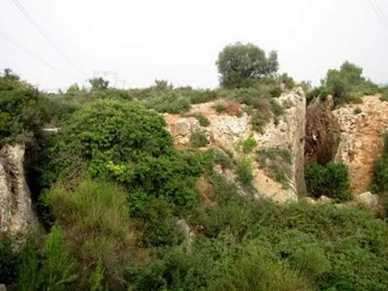 Photographie de PAPIOL, ESCLETXES DE