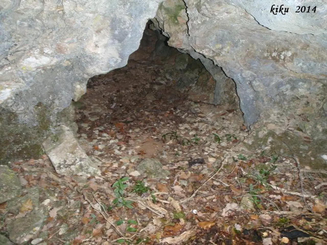 Fotografia de PG-1, COVA