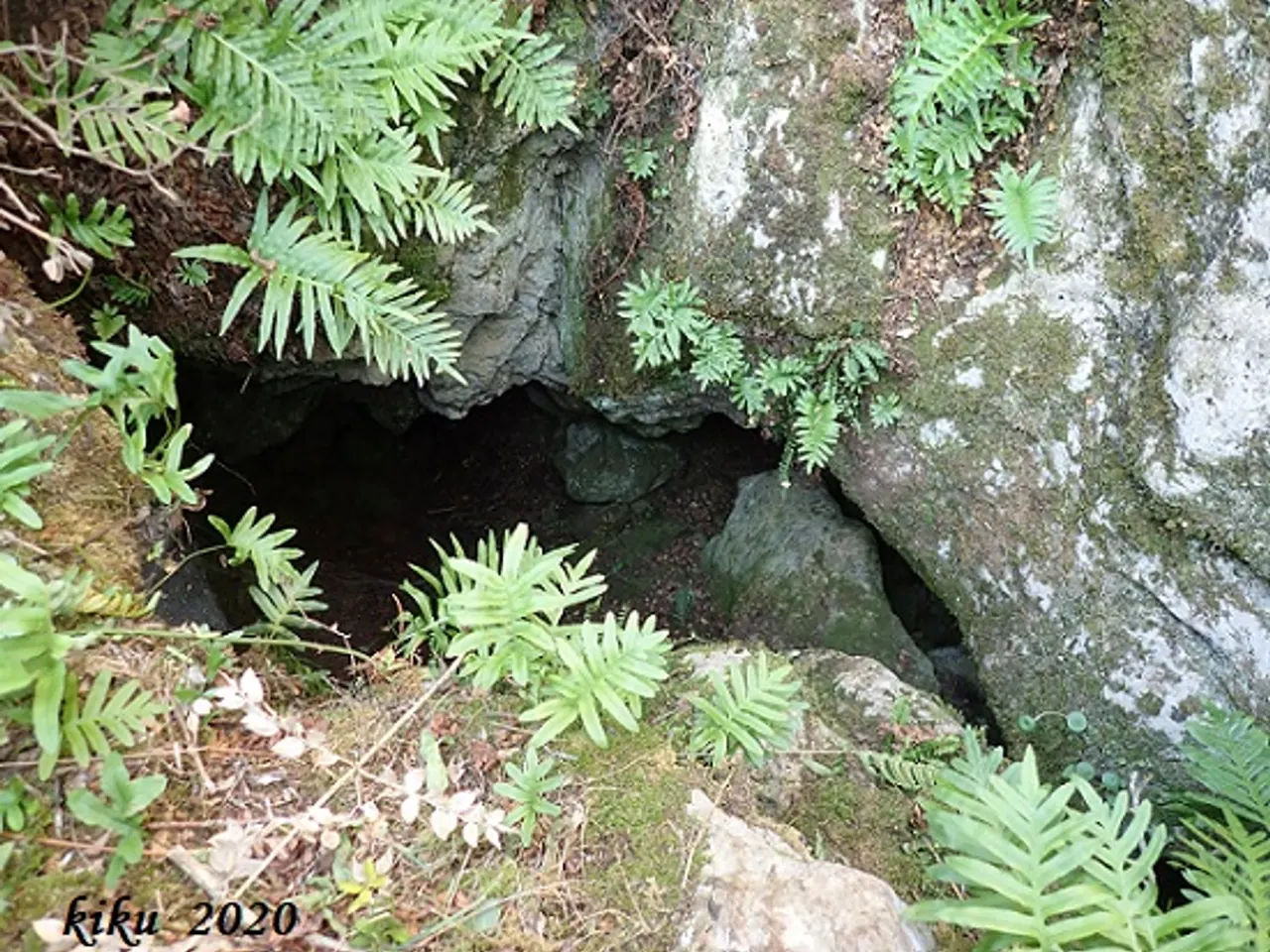 Photographie de OSSOS NORD, CAU DELS