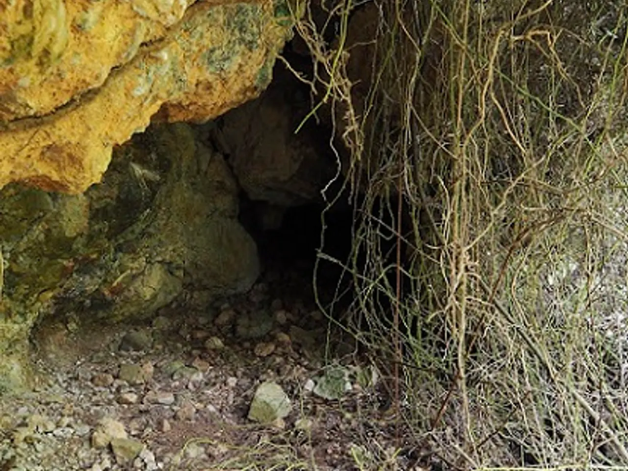 Photograph of POU DEL MELO, COVA DEL