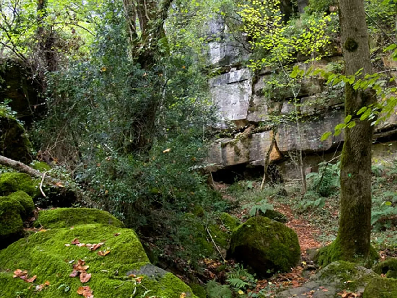 Photographie de CAXURMA, BAUMES D'EN