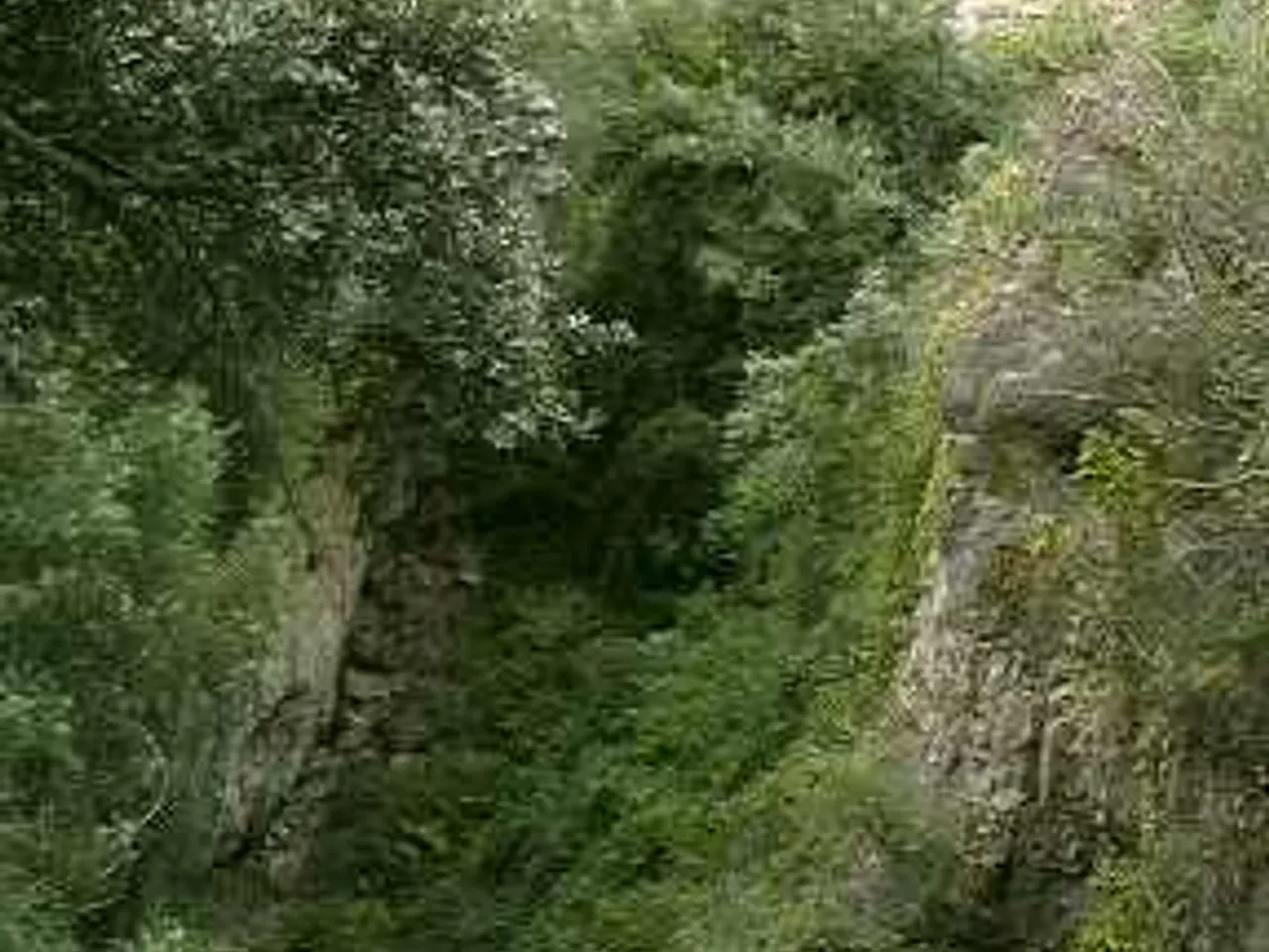 Photographie de SANT JOSEP, AVENC DE