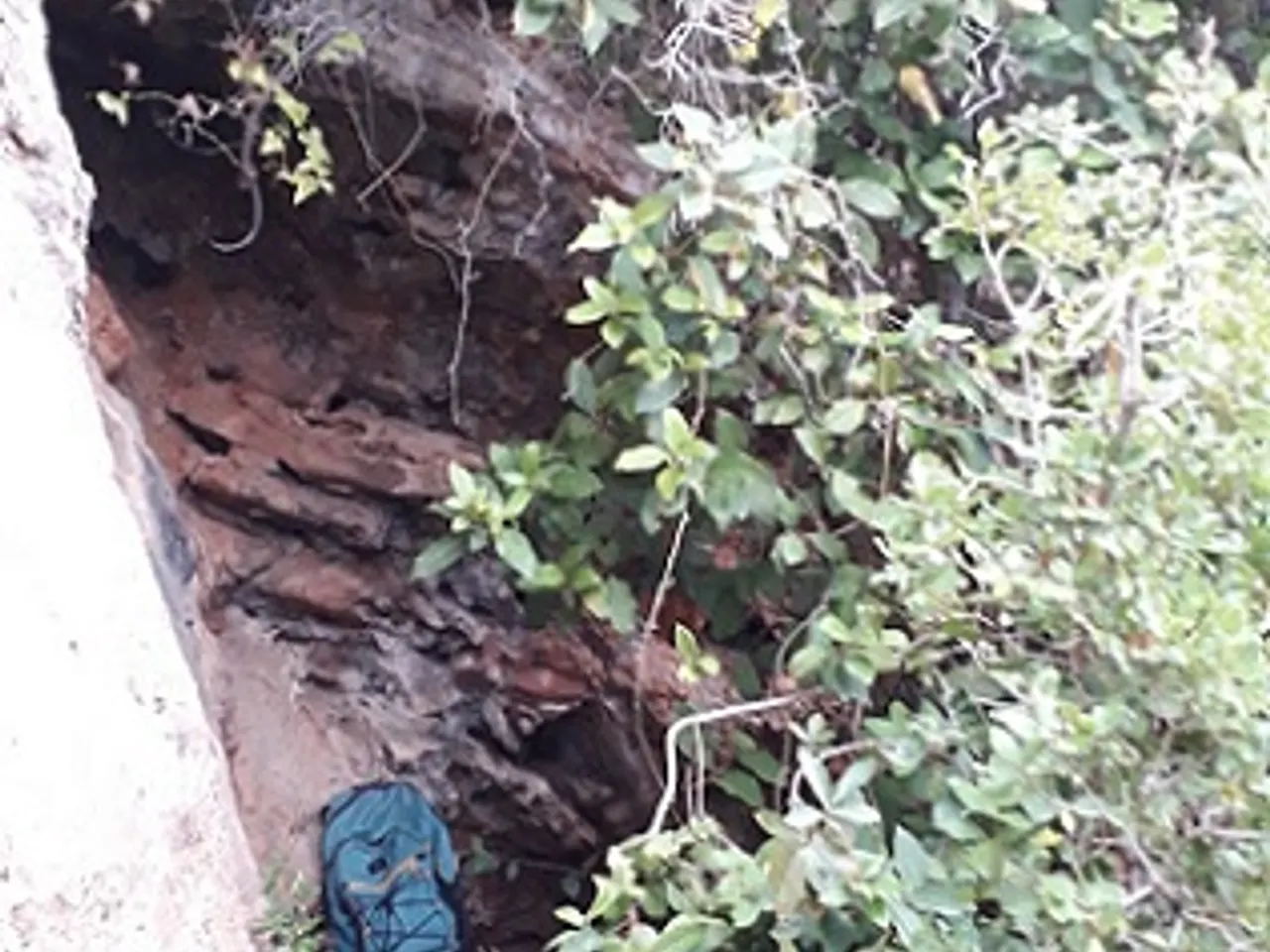 Fotografia de XACÓ, COVA FÒSSIL Nº1 DEL