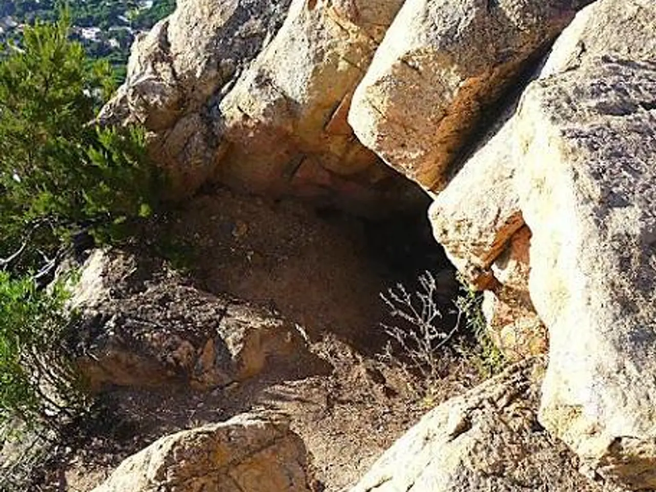 Fotografía de TRES CERCLES, COVA DELS