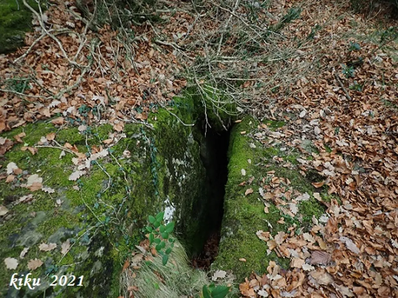 Fotografia de CENSURA, BORA DE LA