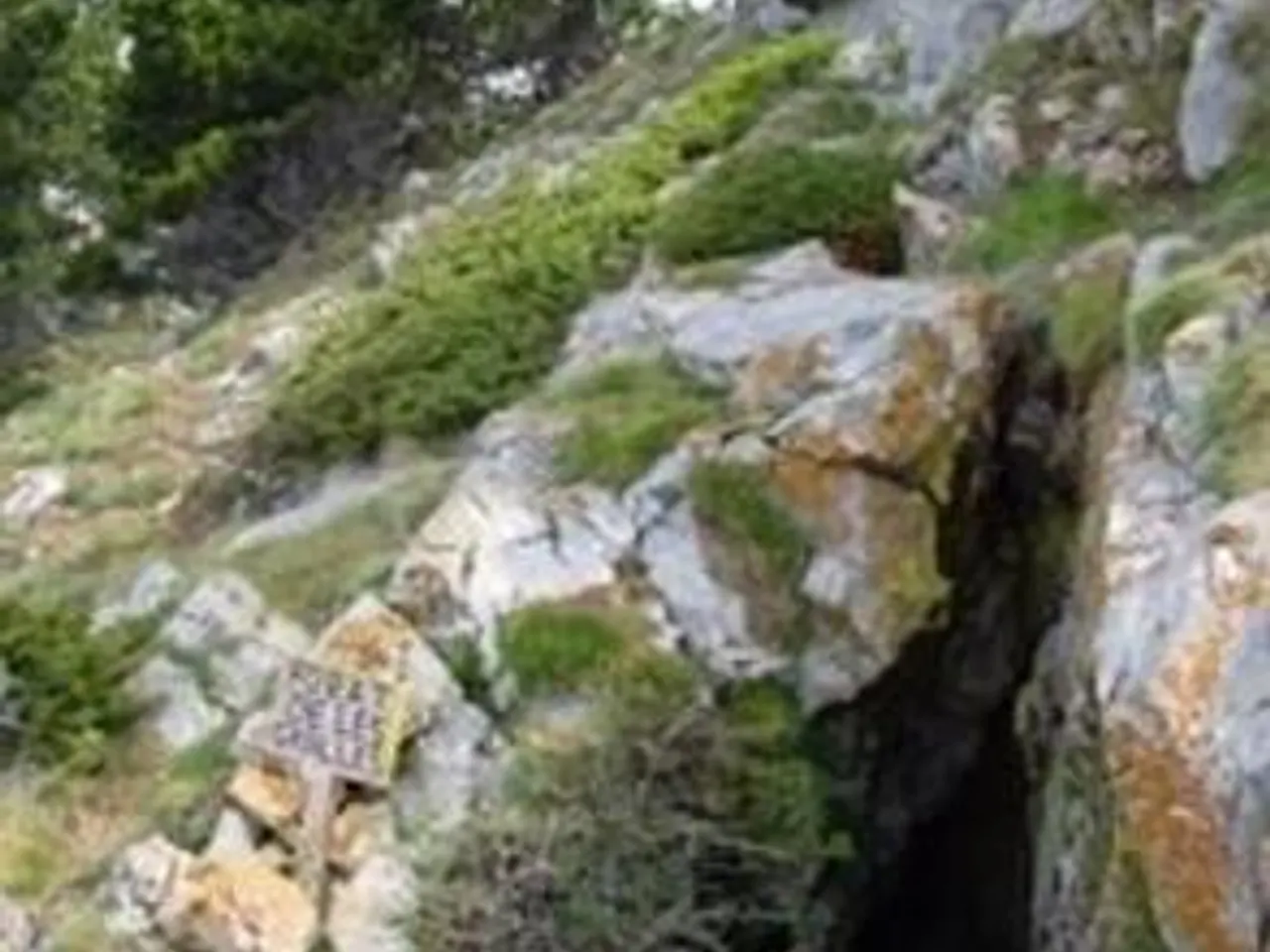 Photograph of GRALLES, FORAT DE LES