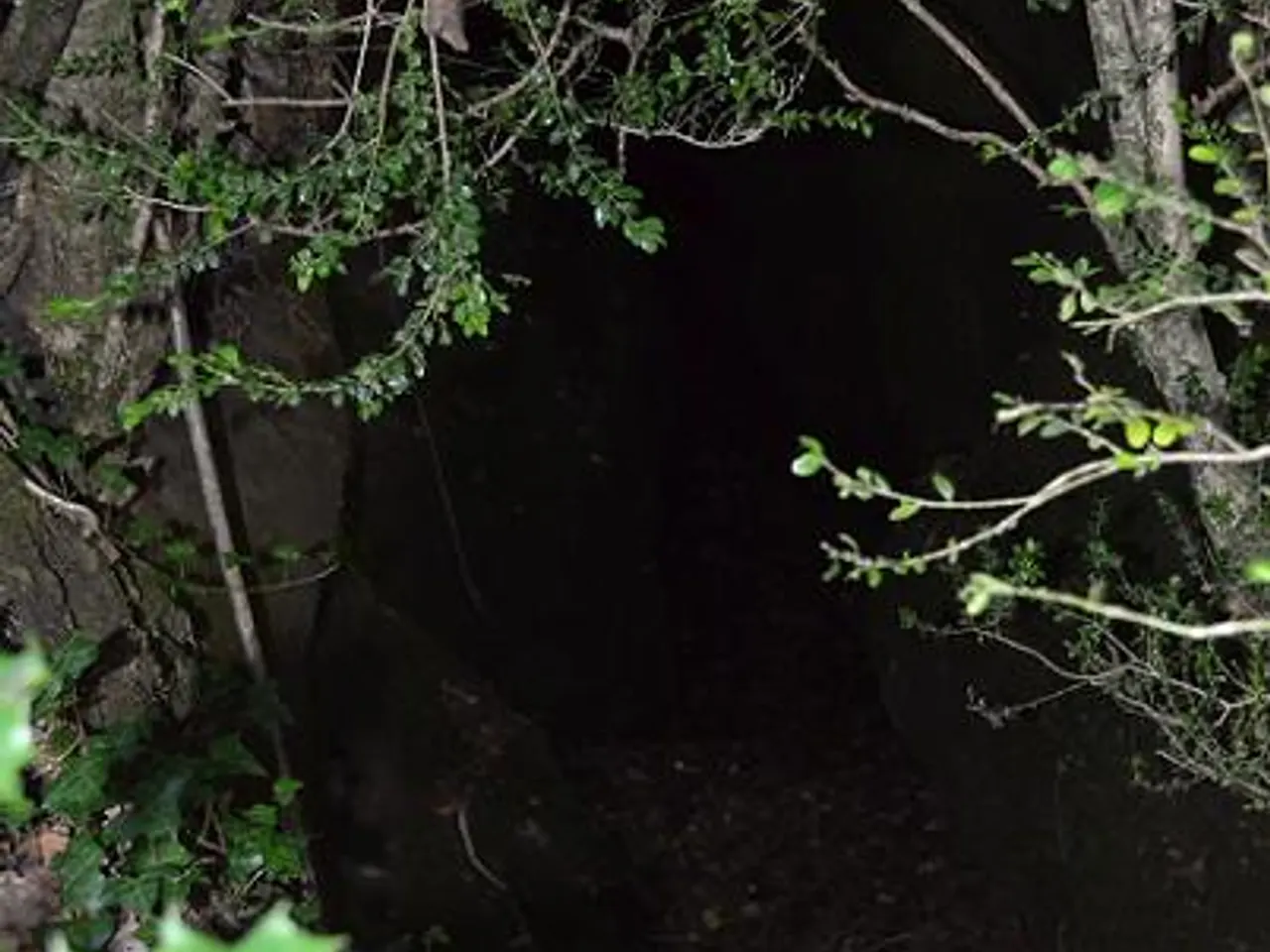Fotografia de LLAURADOR, FORAT DEL