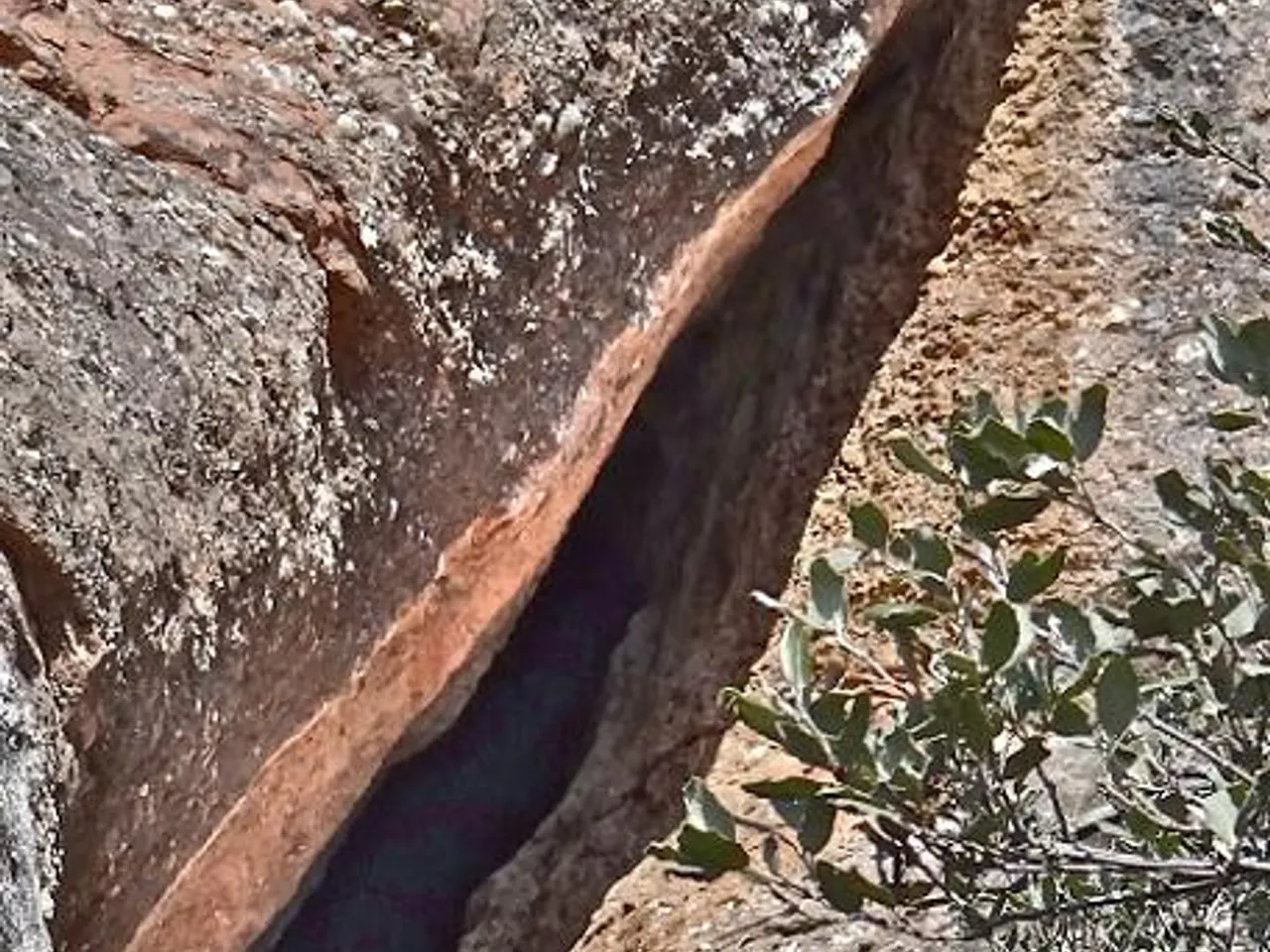 Photograph of CORT PENJADA DE MATA-RODONA