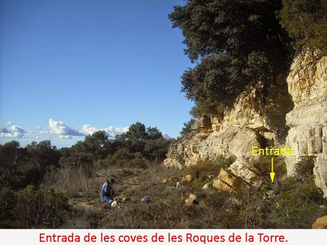 Fotografia de ROQUES DE LA TORRE, COVA DE LES