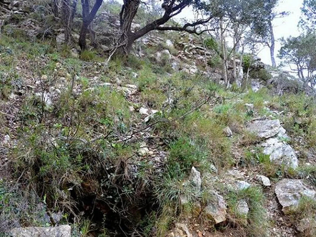 Photographie de BATLLET, COVA DEL