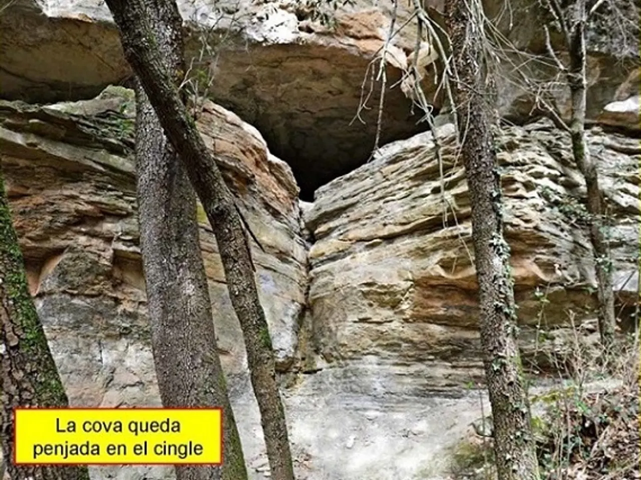 Fotografía de AVELLANA, COVA DE S'