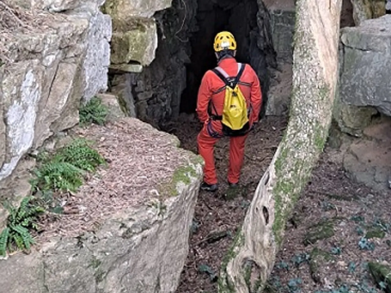 Fotografia de PRAT SOBIRÀ, FORAT GRAN DE