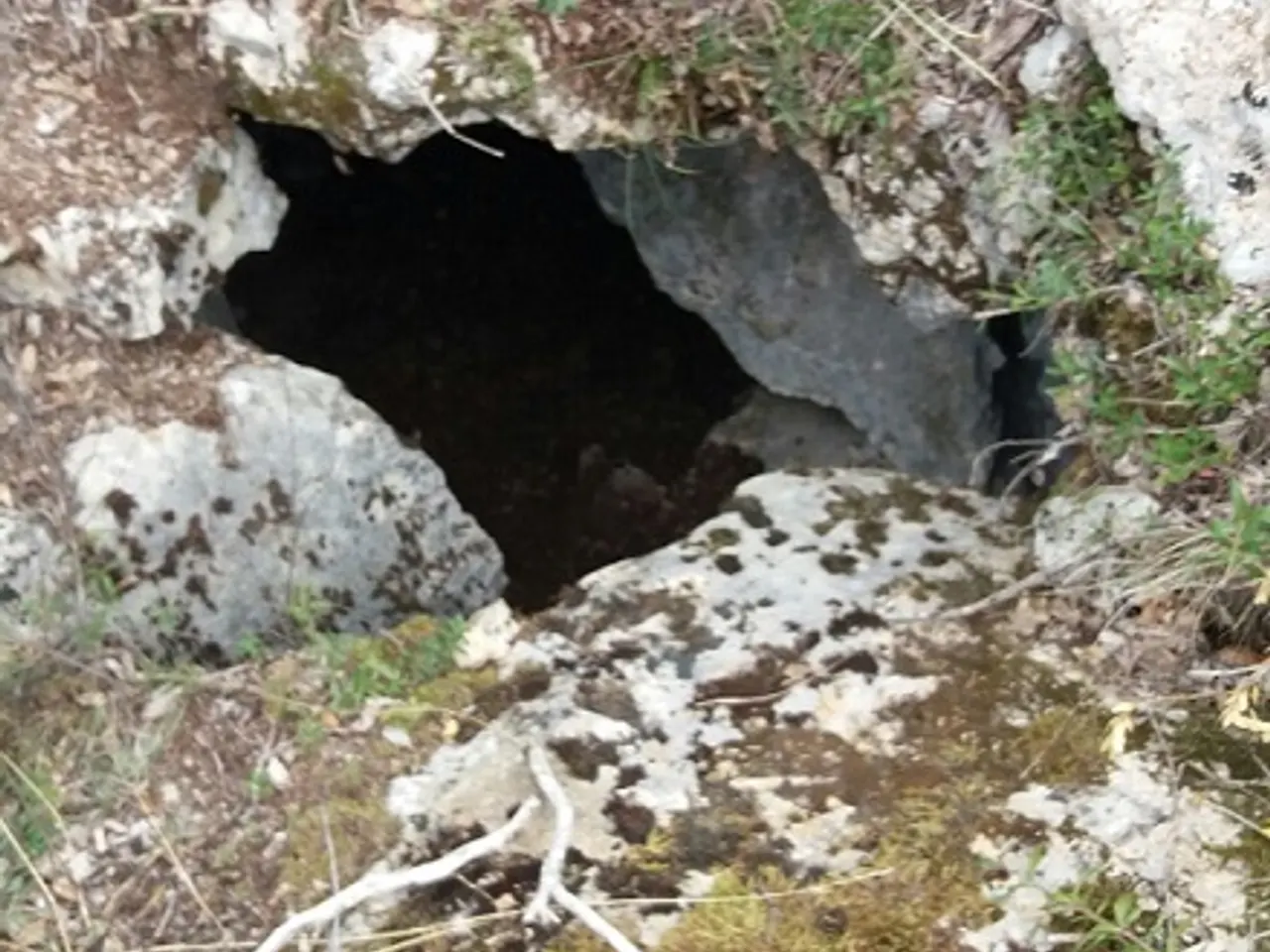 Fotografía de CASES NOVES, FORAT DE LES