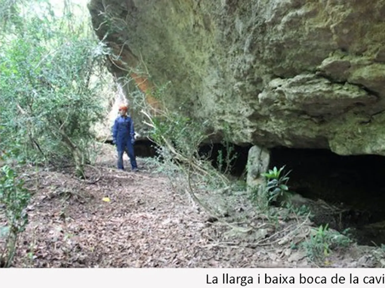 Fotografia de PADEMÍ, BALMA DEL