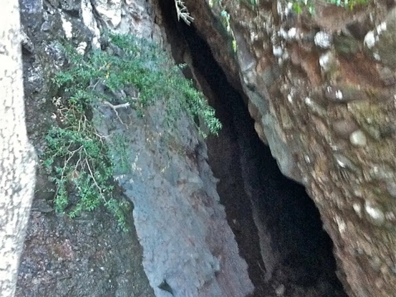 Fotografía de SARGANTANA, COVA DE LA