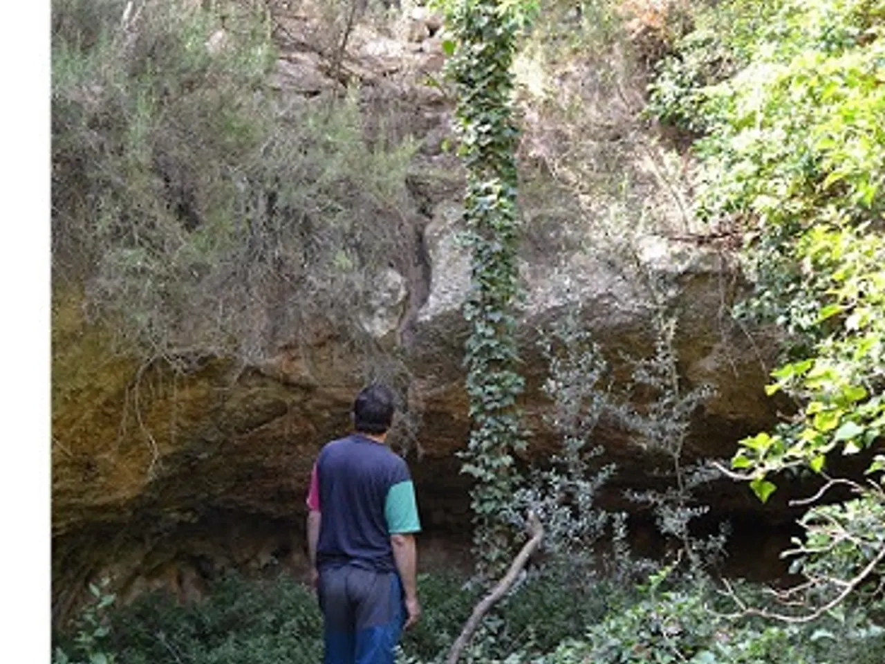 Fotografia de PONT, COVA D'EN