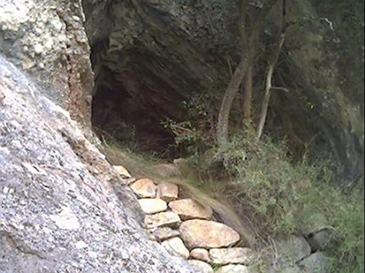Fotografia de DUC, COVA DEL