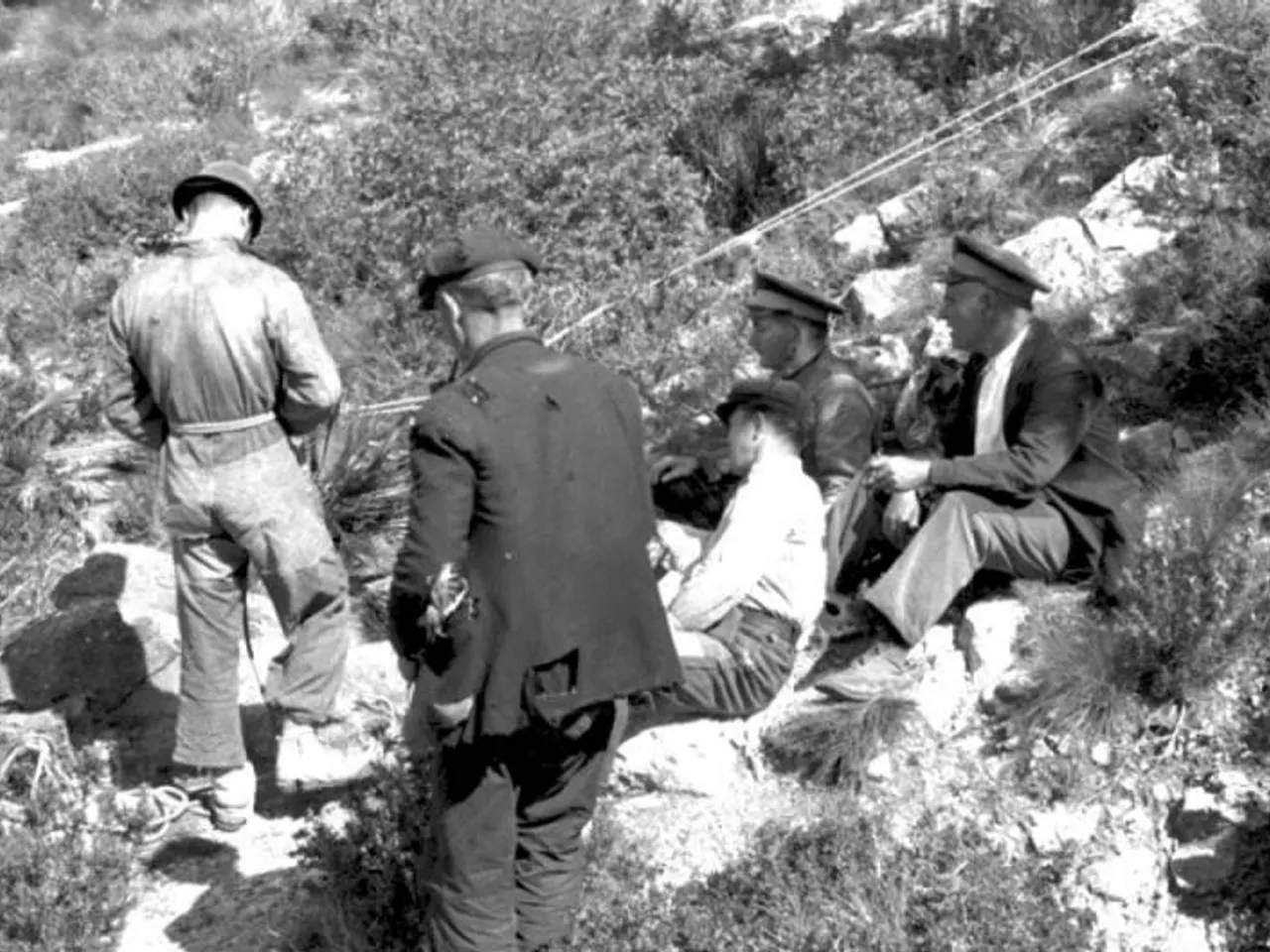 Photograph of ESMENADOR I DEL TOSSAL DEL JONC, AVENCS DE L'