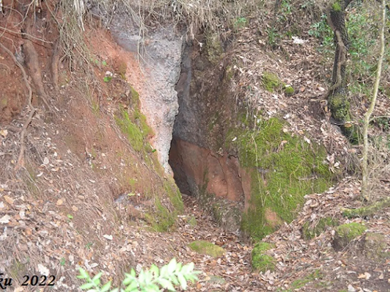 Fotografia de BARBOTERA, LA