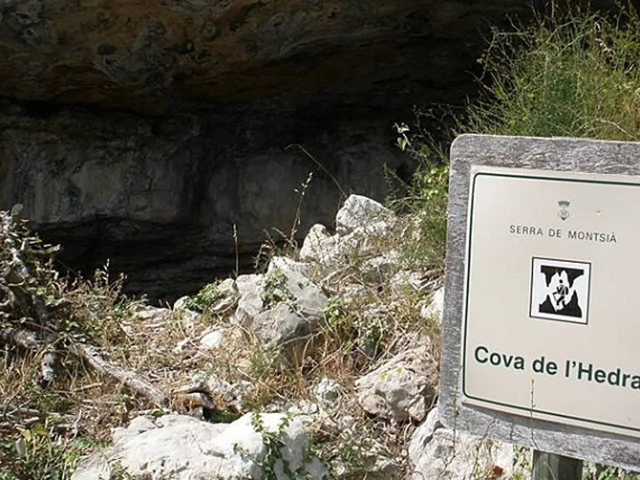 Photograph of HEDRA, COVA DE L'