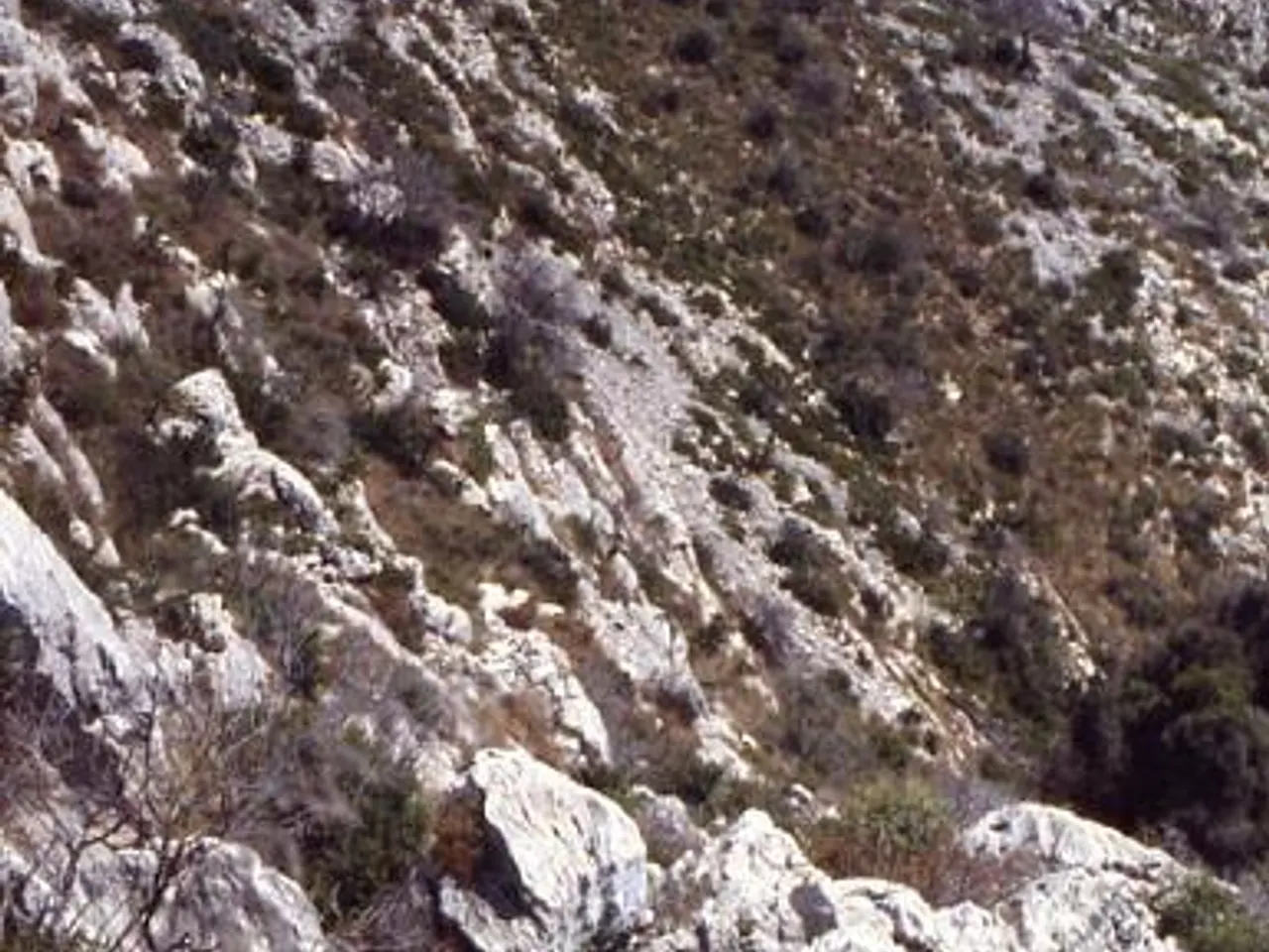 Fotografia de ARAGALLS, AVENC DELS