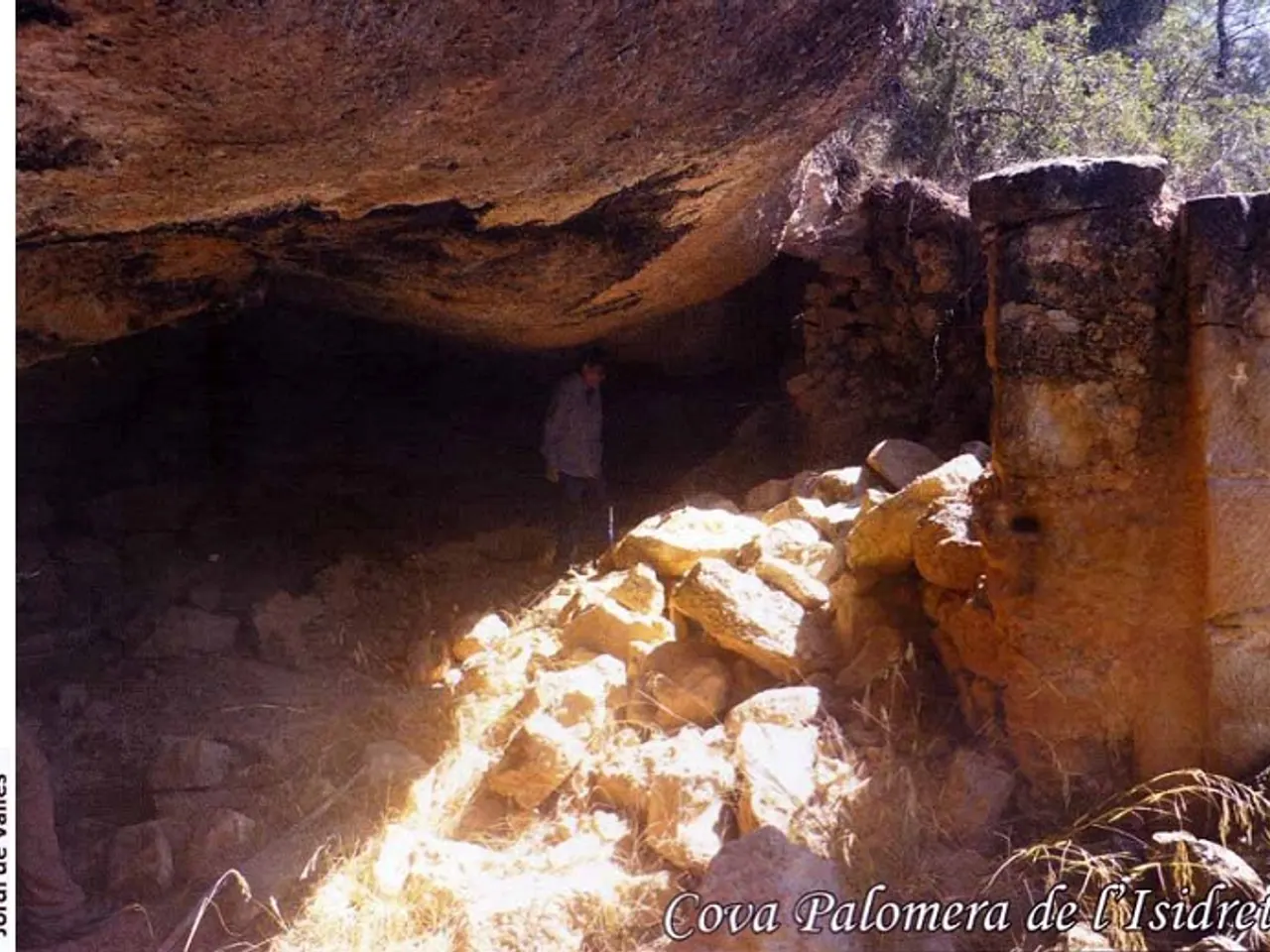 Photograph of PALOMERA DE L'ISIDRET, COVA