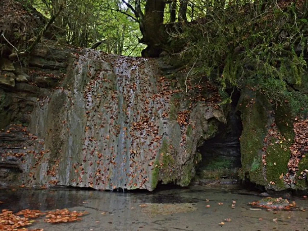 Photograph of SALT DE LLASTANOSA, BAUMES DEL