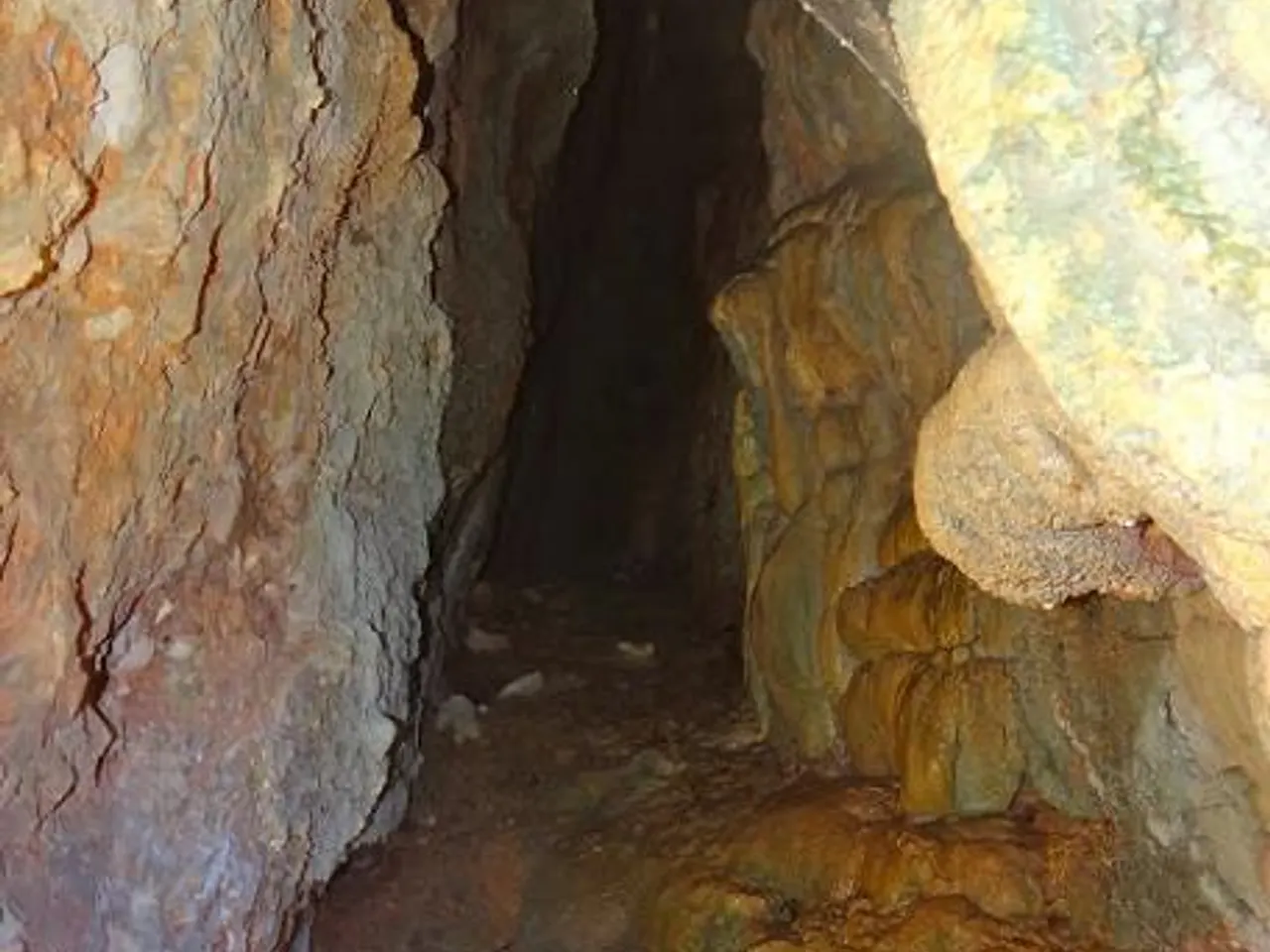 Fotografia de BARDISSES, COVA DE LES