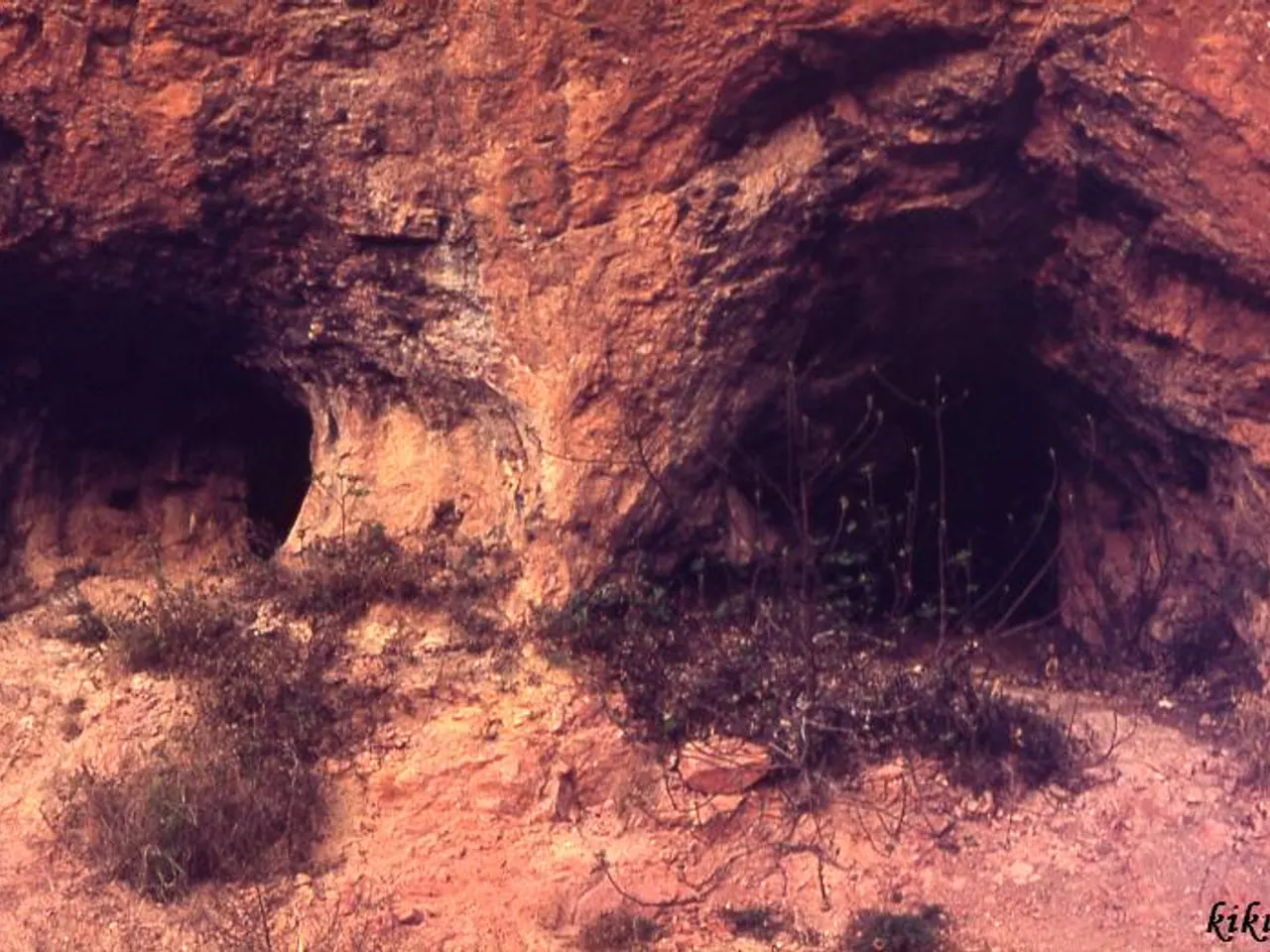 Photographie de FIGUERA, COVA DE LA