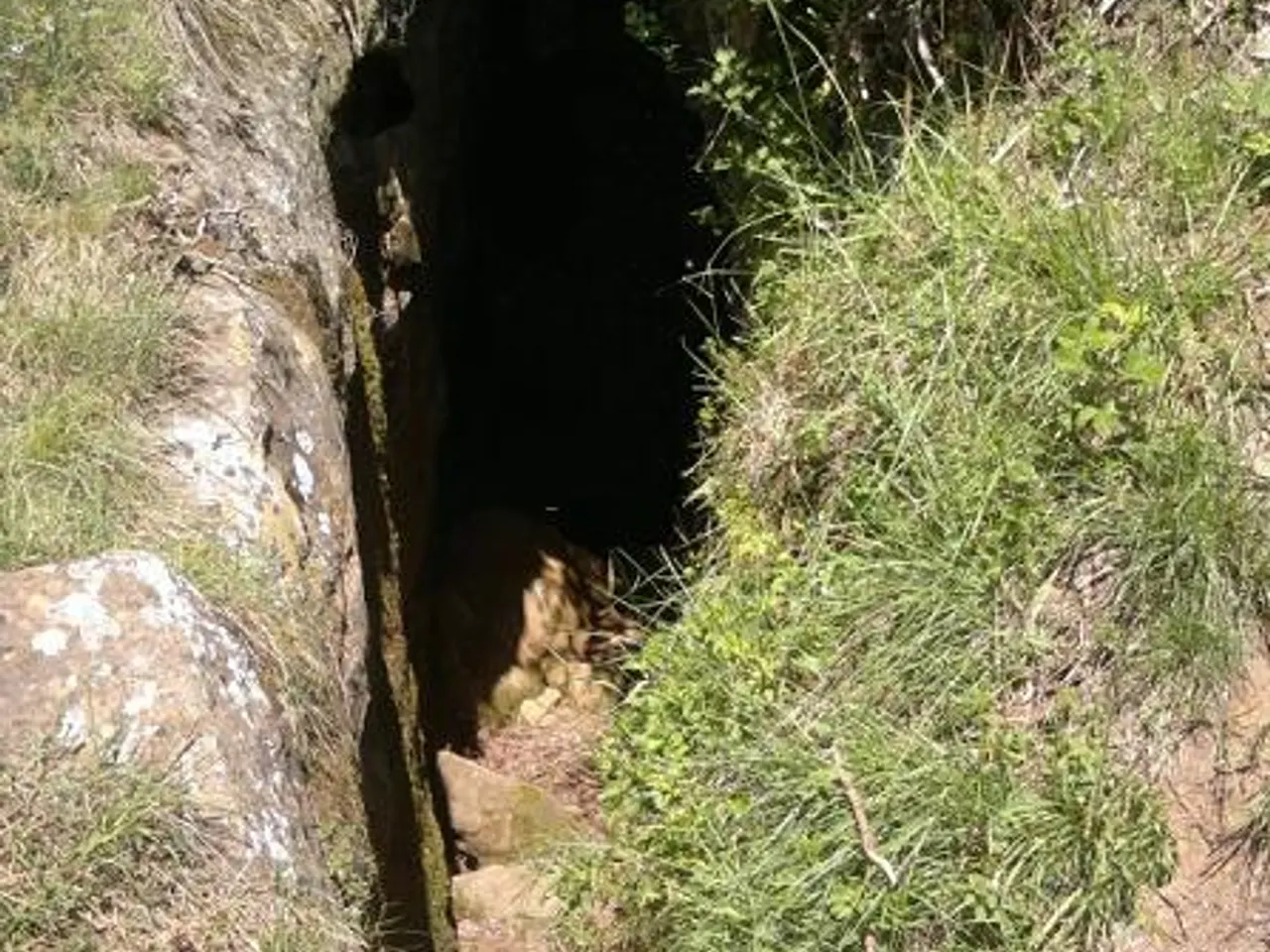 Fotografía de ROCA LLADRE, COVA DE