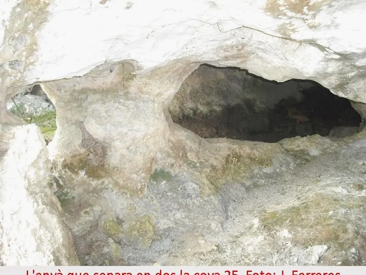 Photographie de VINT-I-CINC, COVA