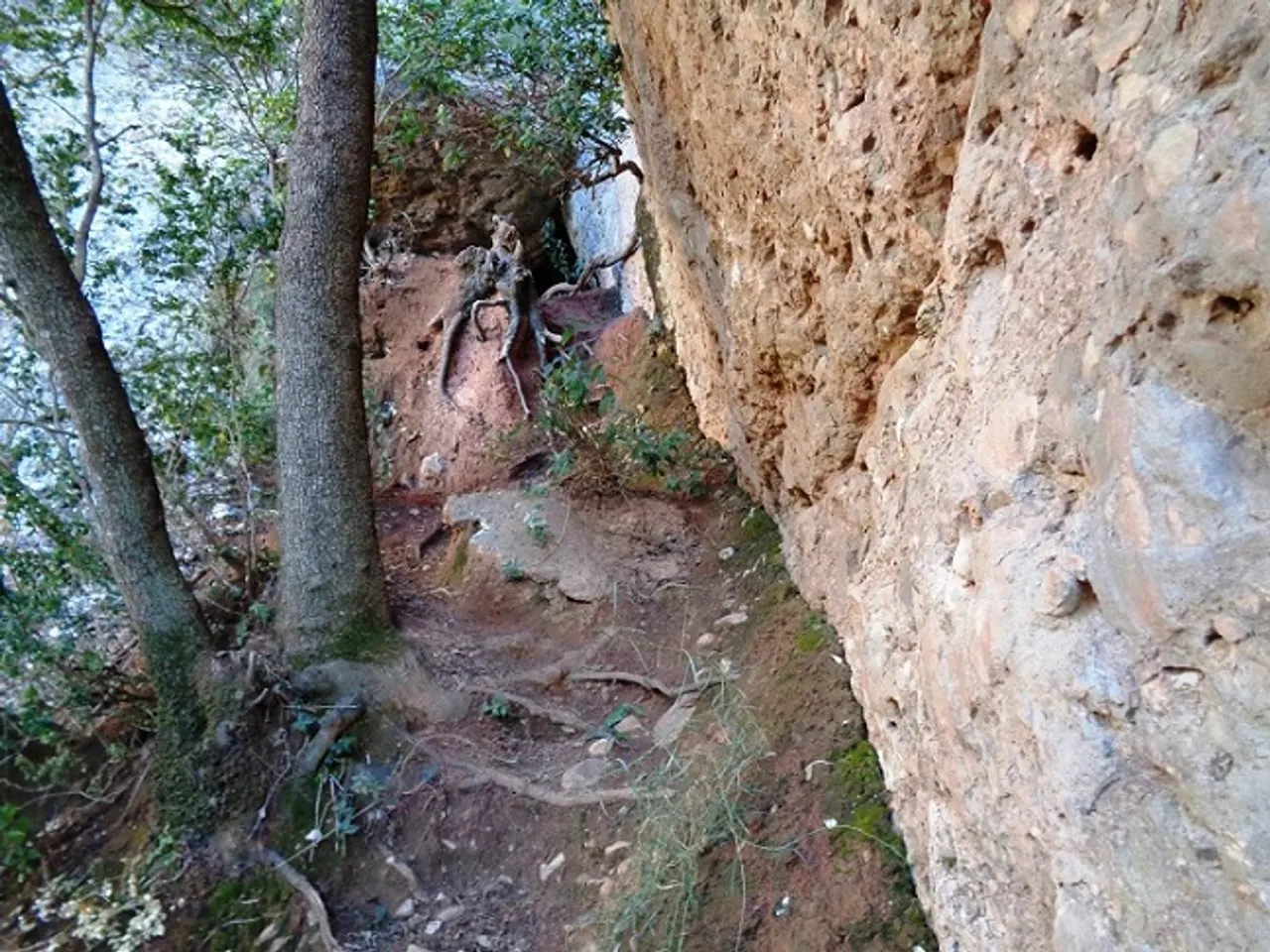 Fotografía de SMOC, BALMA