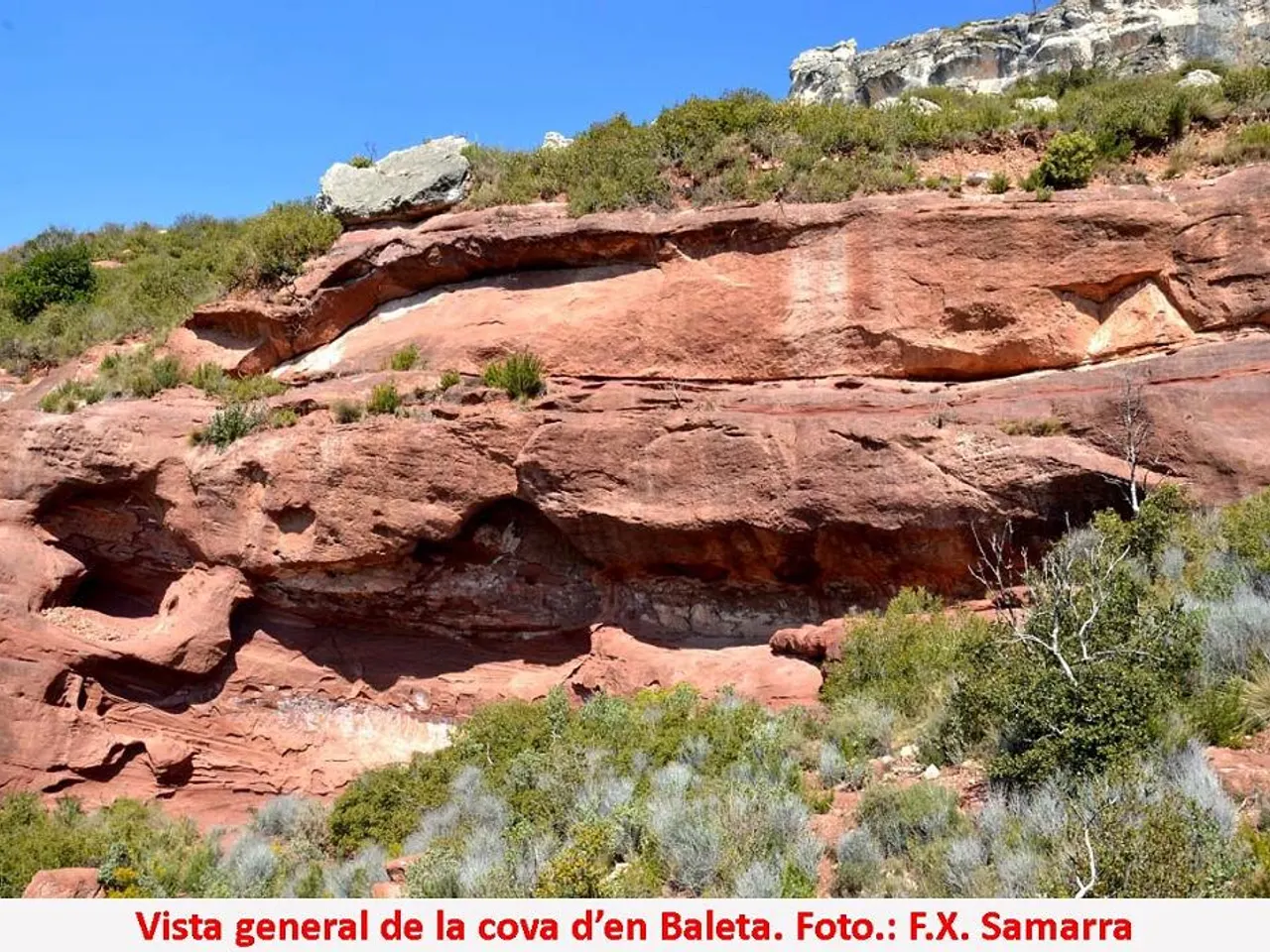 Fotografía de BALETA, COVA D'EN
