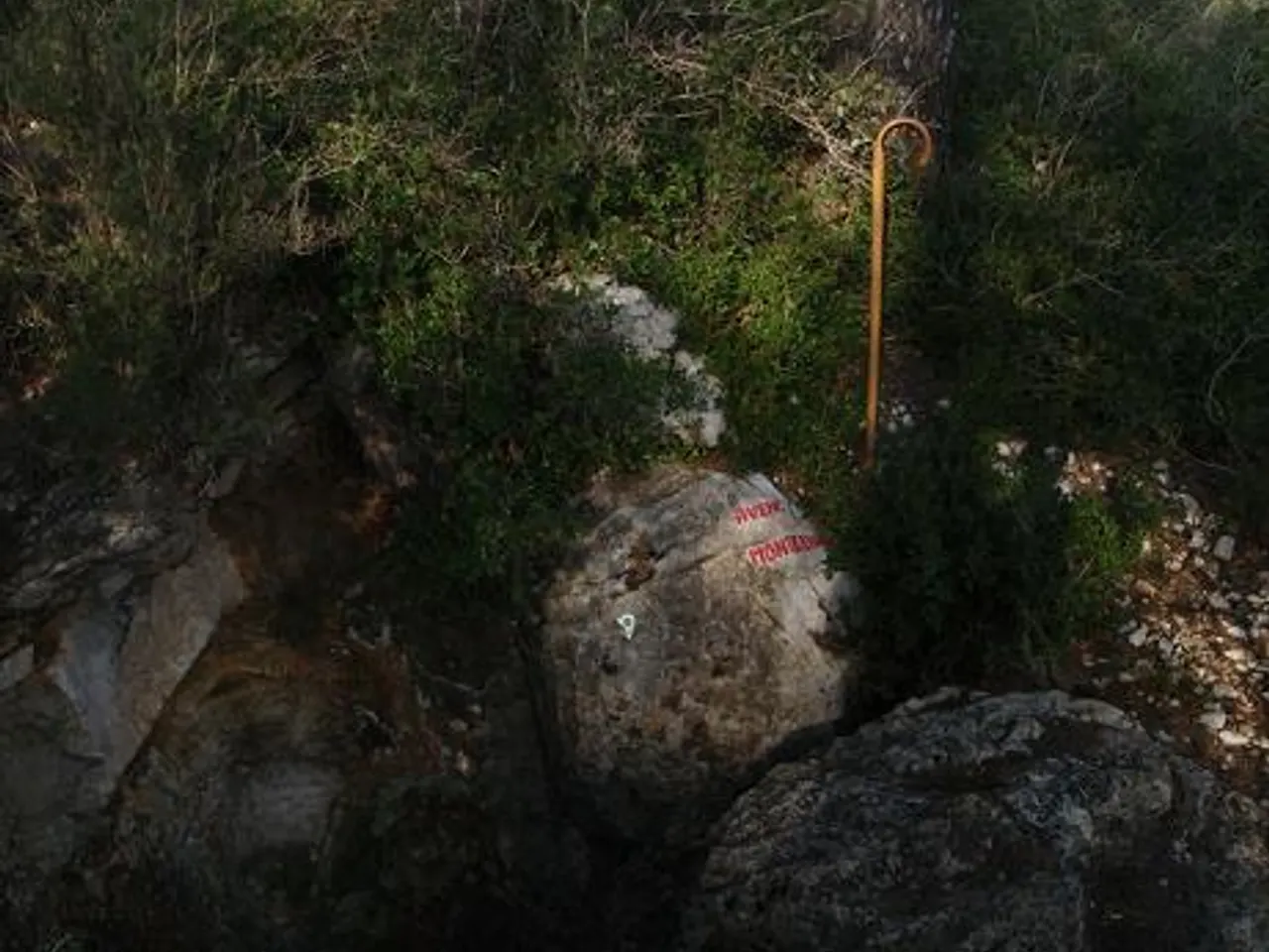 Fotografía de MONTESINOS, AVENC