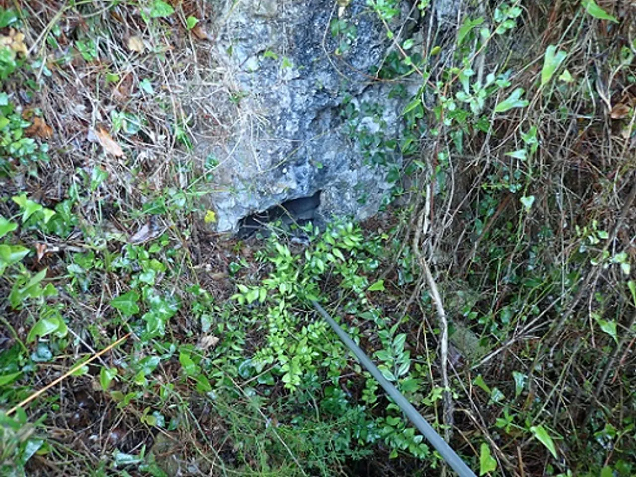 Photograph of TALLAFOCS, COVA DEL