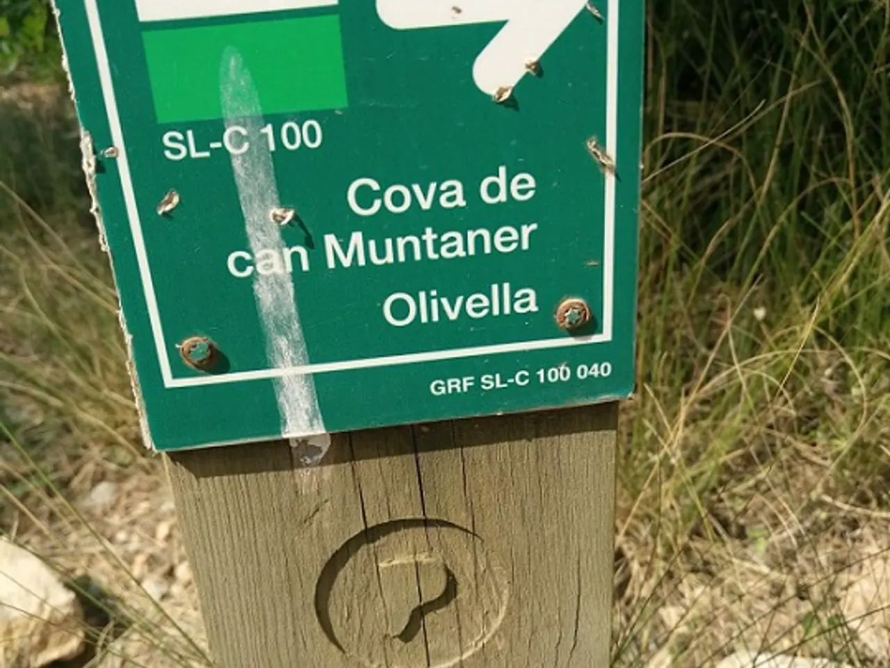 Fotografía de CAN MUNTANER, COVA DE