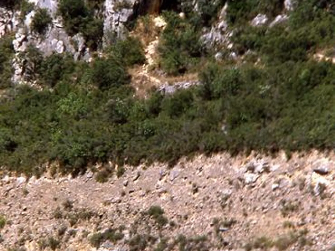 Fotografia de MURICECS, COVA DELS