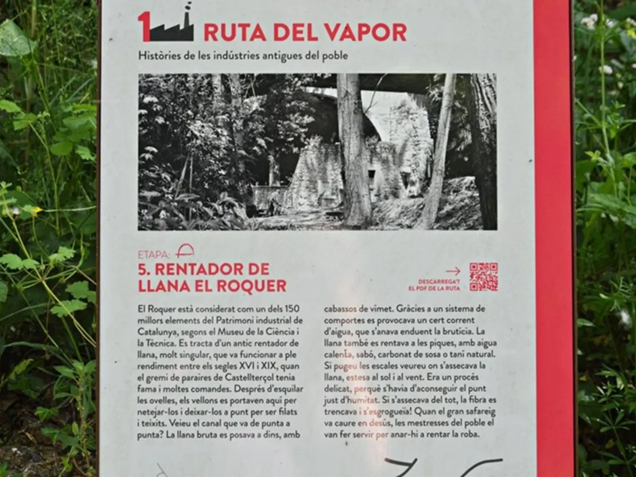 Photograph of RENTADOR DE LA LLANA DEL ROQUER, BALMA DEL