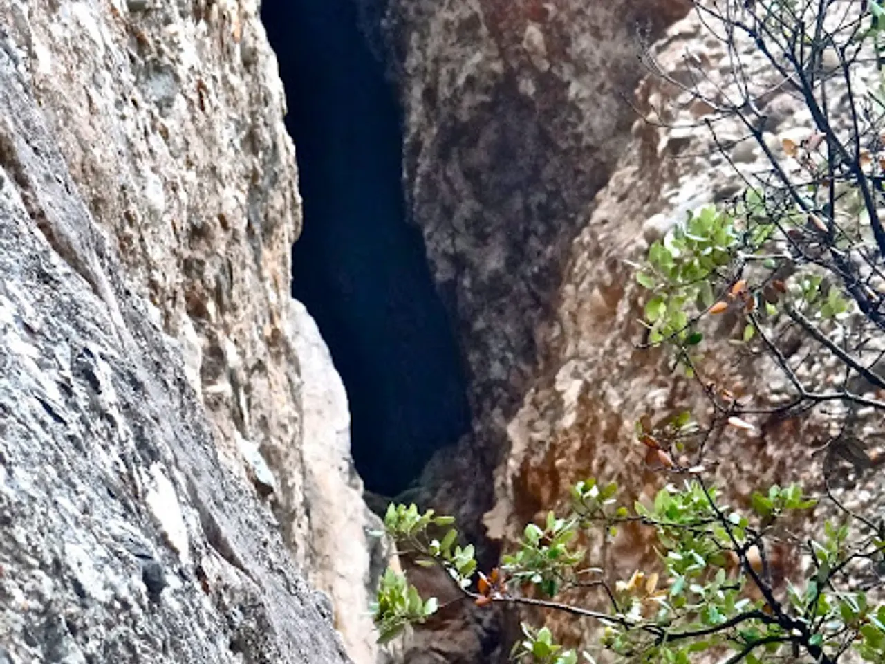 Photograph of QUARTO DE REIXA, COVA DEL